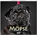 MF-Kalender MÖPSE 2019 by