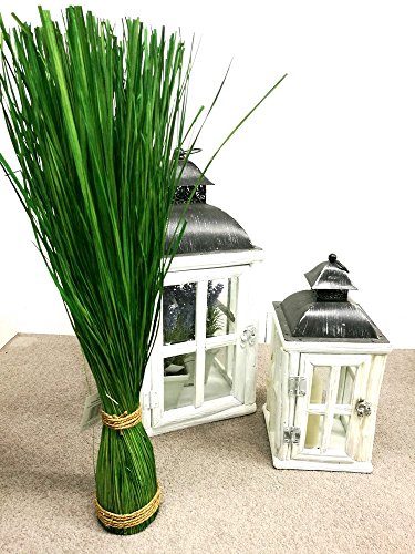 Gras Grasbündel im Garten Grasbund Deko Zweige Grasbüschel (70 cm) - 6