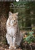 Der Luchs - Europas größte Samtpfote (Wandkalender 2017 DIN A4 hoch): Fotografien vom eurasischen Luchs (Monatskalender, 14 Seiten) (CALVENDO Tiere) by