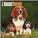 Basset Hounds 2014 - Bassets: Original BrownTrout-Kalender [Mehrsprachig] [Kalender] by 
