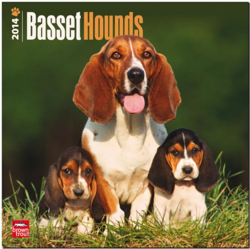 Basset Hounds 2014 - Bassets: Original BrownTrout-Kalender [Mehrsprachig] [Kalender]
