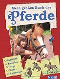 Cover zum Buch Das große Pferdebuch für junge Reiter