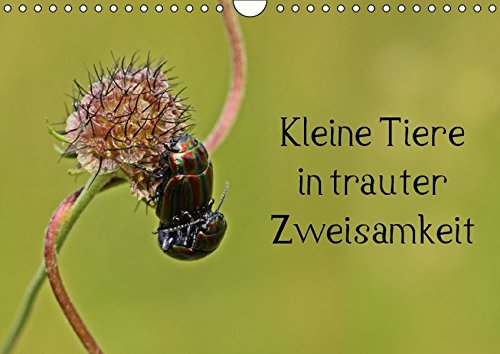 Kleine Tiere in trauter Zweisamkeit (Wandkalender 2017 DIN A4 quer): 13 verschiedene Makroaufnahmen von Insekten, Schnecken und Amphibien bei der Paarung. (Monatskalender, 14 Seiten) (CALVENDO Tiere)