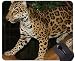 Produktbild Rutschfeste Gummi-Gaming-Mausunterlage, Leopard-Katzen-Familien-Leopard-Mausunterlagen