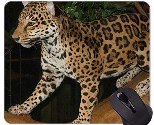 Preisvergleich Produktbild Rutschfeste Gummi-Gaming-Mausunterlage, Leopard-Katzen-Familien-Leopard-Mausu...