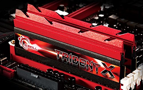 G.Skill F3-1866C8D-16GTX 16 GB 1866 MHz DDR3-RAM Main Memory
