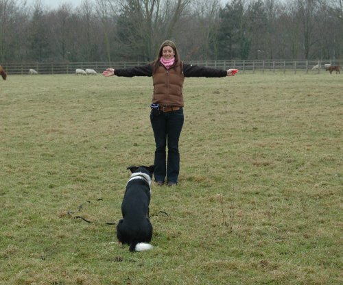 CLIX-Professional-Whistle