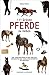 111 Gründe, Pferde zu lieben: Eine Liebeserklärung an den edelsten, anmutigsten und schnellsten Gefährten des Menschen by Sabine Anders