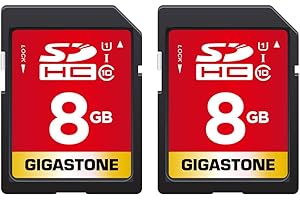Gigastone 8 GB SDHC-Speicherkarte, 2 Stück, hohe Geschwindigkeit für die Speicherung von Fotos, Videos, Musik, Sprachdateien, Camcorder, Kamera, Recorder, PC, Mac, Klasse 10
