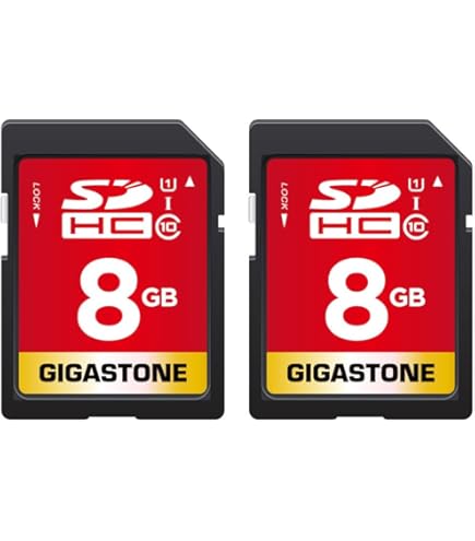 SanDisk Scheda Micro SDHC Da 8GB Classe 4 | Memoria Extra Per Cellulari E Feature Phone - 2