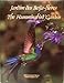 Produktbild Jardim dos Beija-flores - The Hummingbird Garden