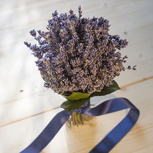 ROSEMARIE SCHULZ® Natürlicher Blumenstrauß Lavendelstrauß – Ø ca. 15cm - 7