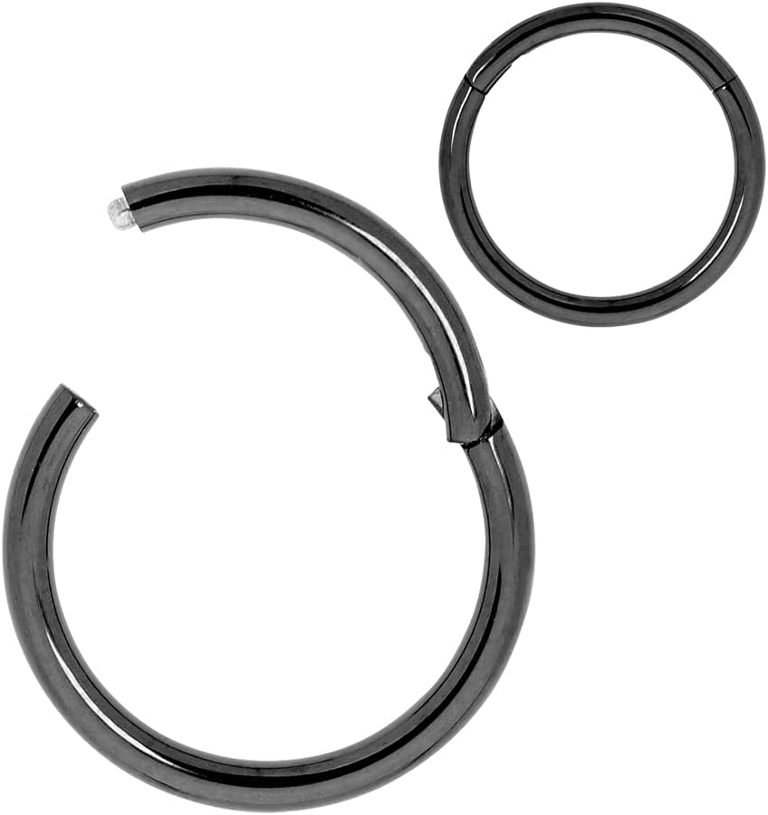 365 Sleepers Acero quirúrgico 316L Unisex Septum Tragus Helix Segmento con bisagras Nariz Labio Anillo Pendientes de aro Joyería para piercing corporal 20G 18G 16G 14G 12G 10G 8G 6G
