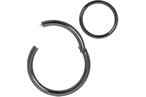 365 Sleepers G23 Titanio Unisex Septum Tragus Helix Segmento con bisagras Nariz Labio Anillo Pendientes de aro Joyería piercing del cuerpo 20G 18G 16G 14G 12G 10G 8G