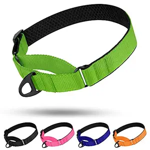 BRONZEDOG Nylon Martingale Dog Collar Soft Padded Durable Training Pet Collars Small Medium Large Dogs Puppy Black Orange Blue Green Pink (M, Neck Size 15