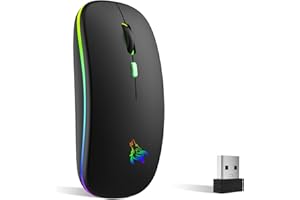 TQQ Raton ​Inalambrico Recargable, Ratón Retroiluminado de 7 Colores con Mini Receptor USB de 2,4 GHz, Raton Gaming, Compatib