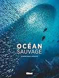 Océan sauvage by