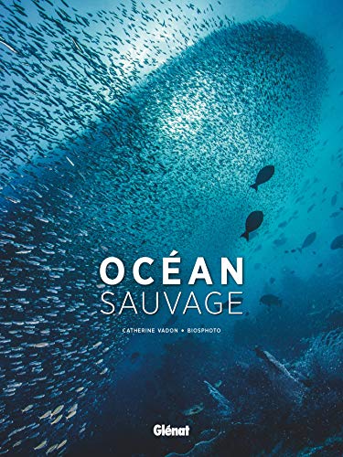 Océan sauvage by Catherine Vadon