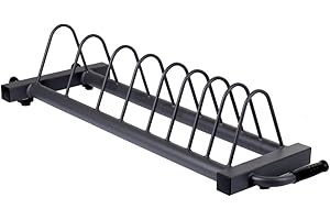 ‎SF SUPRFIT Suprfit Trudwin Hantelscheibenständer - Scheiben Trolly mit Segmenten für bis zu 8 Hantelscheiben, mobile Hantelscheibenablage mit 2 Transportrollen und Griff, stabile Stahlkonstruktion, Grau