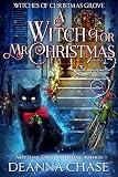 Cover zum Buch A Witch for Mr. Christmas