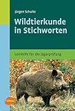 Image de Wildtierkunde in Stichworten: Lernhilfe für die Jägerprüfung