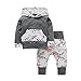 Produktbild Pullover Jungen Hoodies Winter 2 teile / satz Kleinkind Infant Baby Mädchen Kleidung Set Floral Hoodie Tops + Hosen Outfits (Größe: 0-6 Monate, Grau)