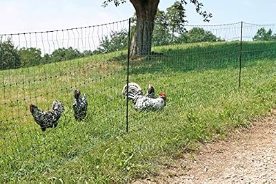 Kerbl Filet À Volailles Poultrynet Vert, Non Électriﬁable, Simple Pointe, 50m, 106 cm pour Élevage/Agriculture Urbaine