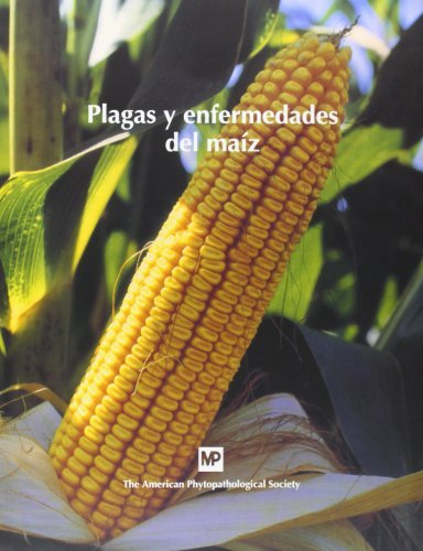 Download Plagas y enfermedades del maíz Download Plagas y enfermedades del maíz
