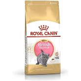 Royal Canin British ShortHair Kuru Kedi Maması, Yavru Kedi, 2 Kg