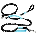 🐾 Excelente diseño: el diseño de doble asa te brinda más control sobre tu perro. El diseño exclusivo del cordón elástico ayuda a absorber el impacto del movimiento rápido. La hebilla está diseñada para facilitar la instalación y el desmontaje.