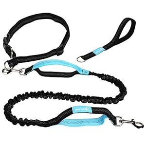 Correa Perro Mascotas Manos Libres con Cinturón y Básico Correa con Mango de Goma Espuma Estirable y Amortiguador de Chouque 1.5M (Azul y Negro)