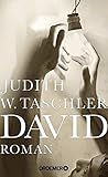 Bücher Neuerscheinungen 2022 - David: Roman von Judith W. Taschler
