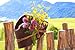 Produktbild Alu-Dibond-Bild 140 x 90 cm: "wanderhut", Bild auf Alu-Dibond