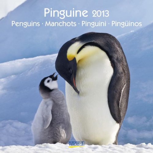 Pinguine 2013, Penguins, Manchots, Pinguini, Pingüinos. Broschürenkalender