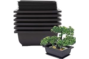 Roundsky Macetas para bonsái de 6 Piezas, Bandeja húmeda clásica Profunda integrada para Plantas, Hierbas, macetas cuadradas de plástico