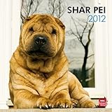 Shar Pei 2012 by 