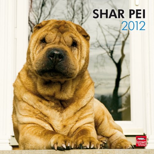 Shar Pei 2012