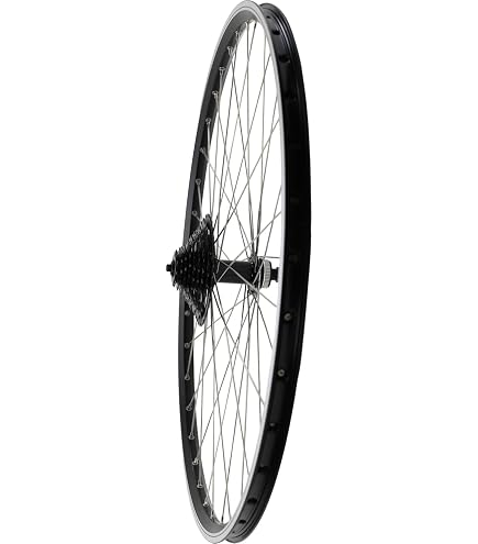 Redondo 28 Zoll Hinterrad Laufrad Felge Schwarz 6-Lo Disc + 6-Fach Kranz Sport & Freizeit
