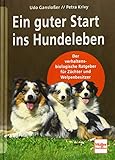 Image de Ein guter Start ins Hundeleben: Der verhaltensbiologische Ratgeber für Züchter und Welpenbesitzer