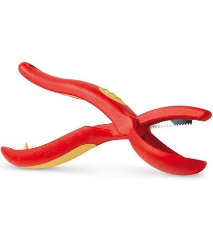 Lot de 2 Coupe-Marrons en Acier Inoxydable pour Châtaignes
