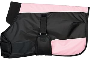 HARRY'S HORSE Harrys-horse