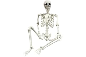 FENGSHENG-SHOP Halloween Posable Skeleton - 165cm Realistic Life Size Human Skeleton Bones with Movable Joints for Halloween Haunted House Decoration