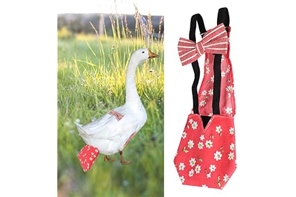Pssopp Couche pour Animaux de Compagnie Lavable à la Mode Couches en Tissu de volaille Couches de vêtements de Ferme Bowknot Design pour oie Canard Poule Poulet et Pigeon(M-Rouge)