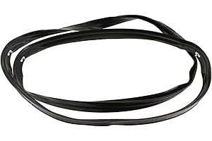 Indesit Türdichtung