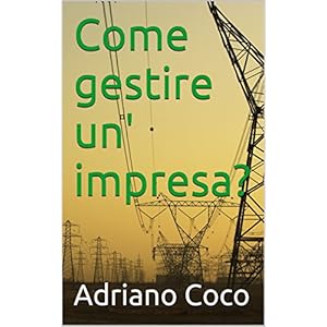 Come gestire un' impresa?