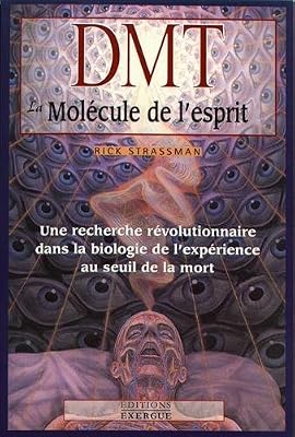 Exergue DMT la molécule de l'esprit : Une recherche révolutionnaire dans la biologie de l'expérience au seuil de la mort