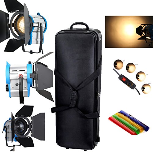 HWAMART® 300/500w+650w+1000w Lighting Fresnel Tungsten Spot light Video Bulb+Barndoor+fly case+bag