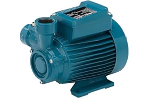 CALPEDA Peripheralpumpe CT61m 0,33kW 0,45Hp Einzelphase 230V 50Hz CTM