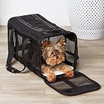 AmazonBasics-Trasportino-Morbido-per-Cani-e-Gatti