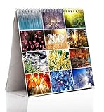 Paper Plane Design 2018 Calendar Table Cute Monthly Calendar Desk Calendar / Table Calendar 2018 Animals Desk Calender (Multi Coloured 3)